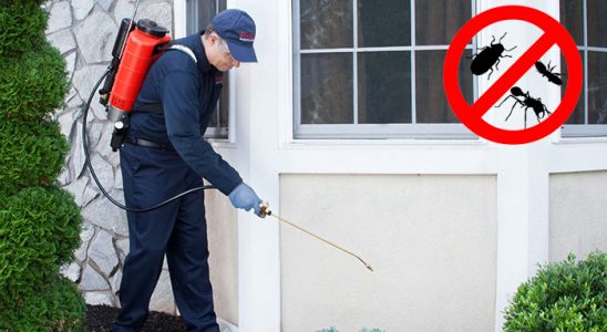 Tokat Kemirgen İlaçlama böcek ilaçlama ve haşere kontrolü — ilaclama-tr.com